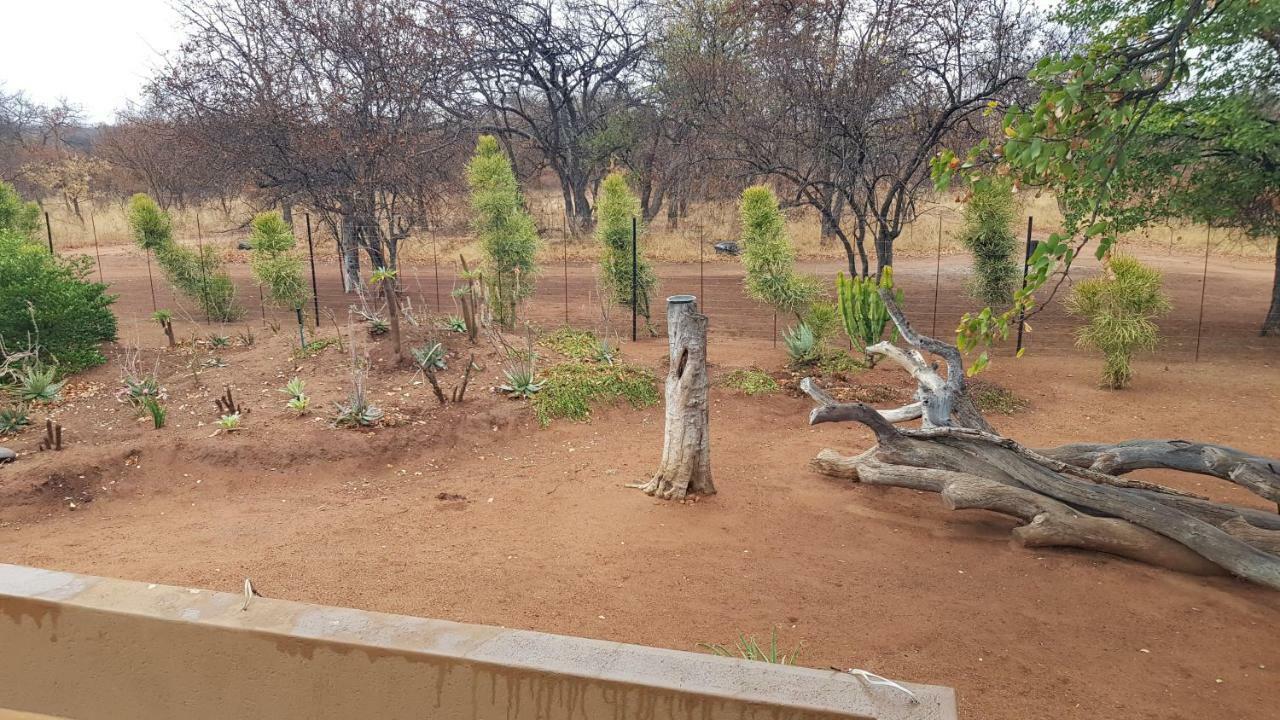 Hornbills Rest Country Home 帕拉博鲁瓦 外观 照片